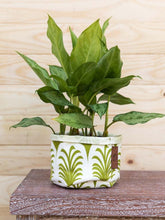 maceta-en-tela-para-plantas-de-interior-miami-potos-decoracion-habibi-macetas-decorativas-plantitas_d92830fa-cf44-4ef9-8b2a-1a61e0bfd168.jpg